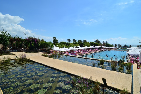 Sunday At Edde Sands